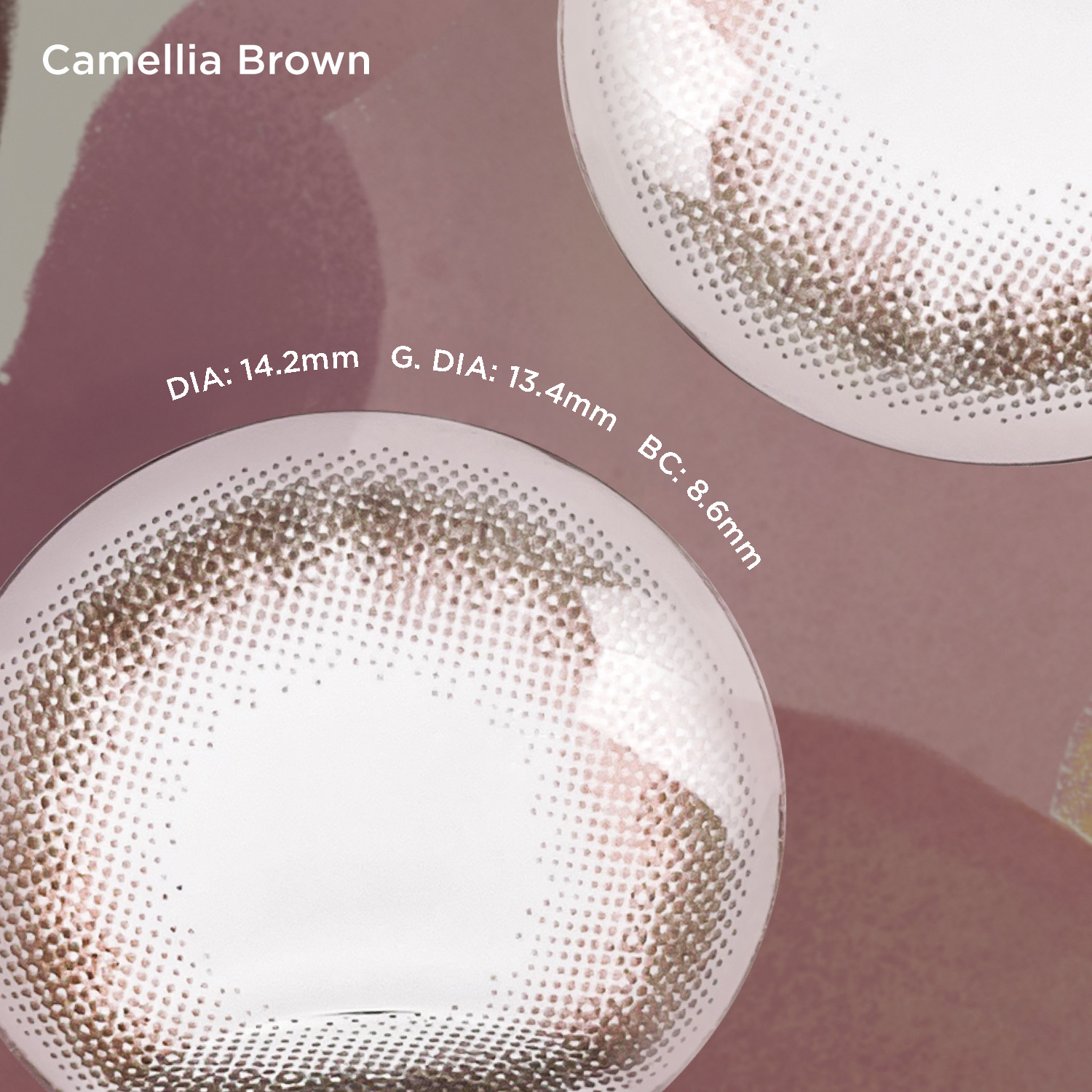 Camellia Brown brown color contacts
