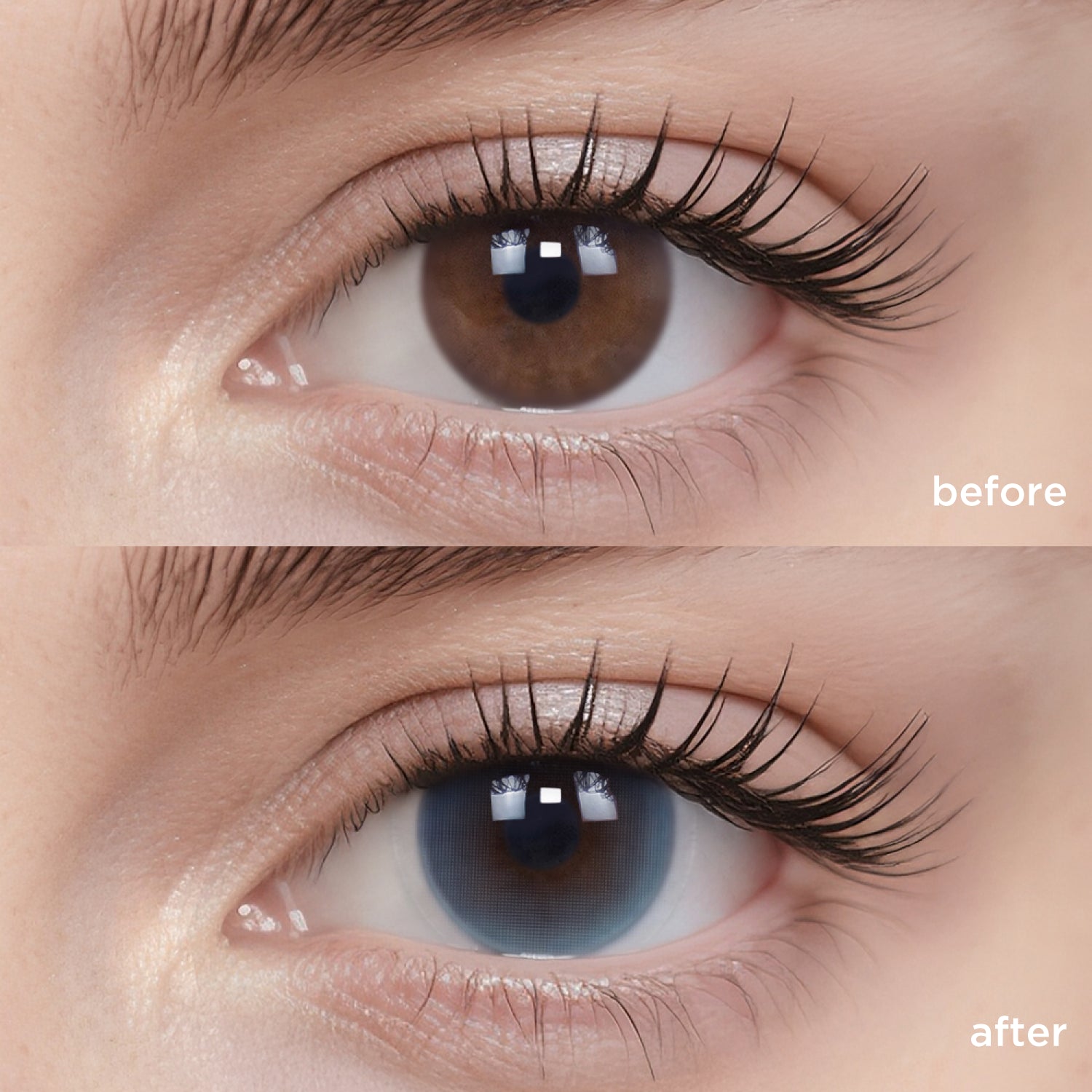 Tuxedo Blue blue color contacts