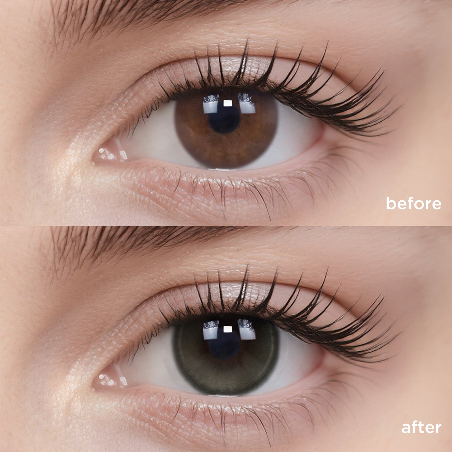 Breathe+ Nomad Sage silicone hydrogel color contacts