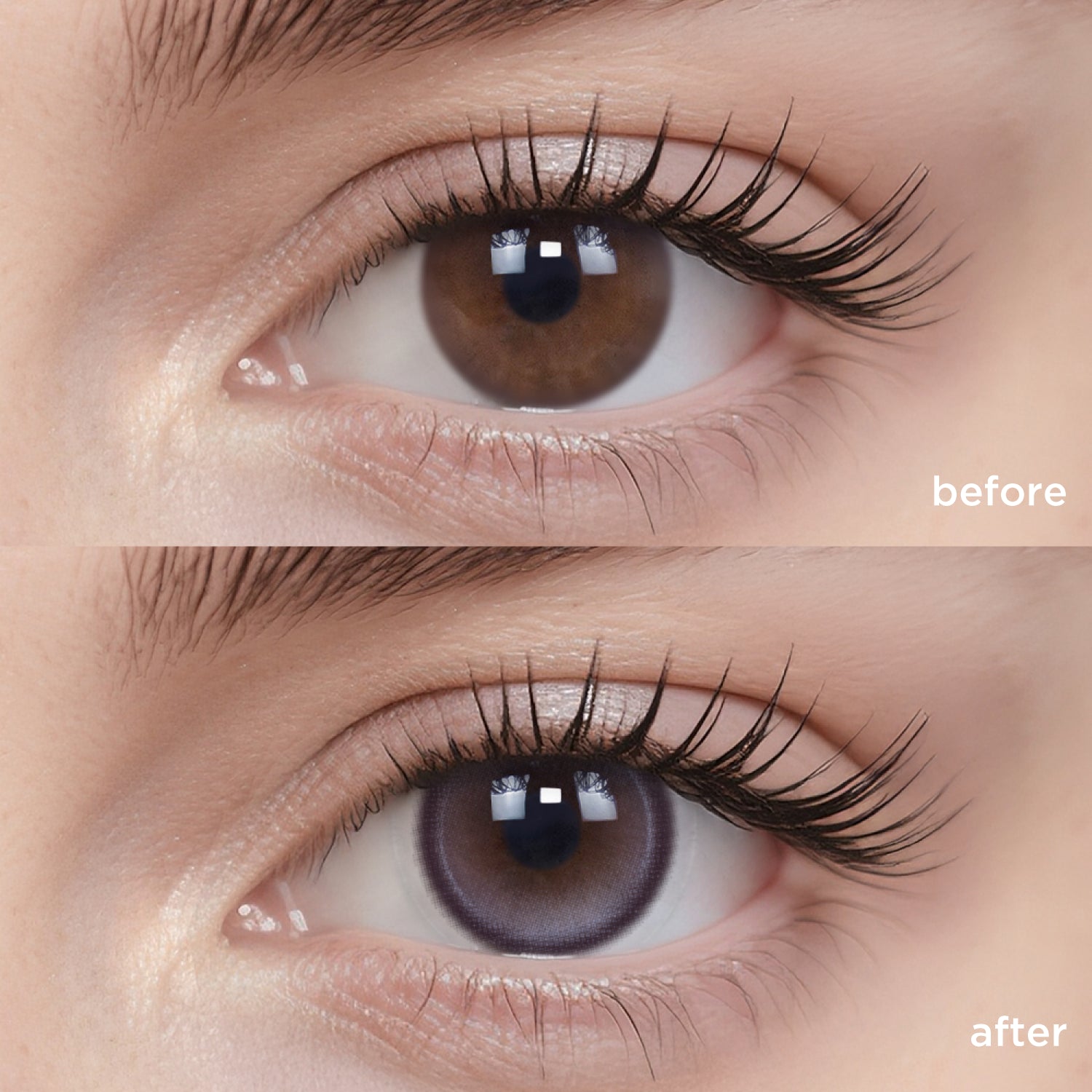 Breathe+ Western Purple silicone hydrogel color contacts