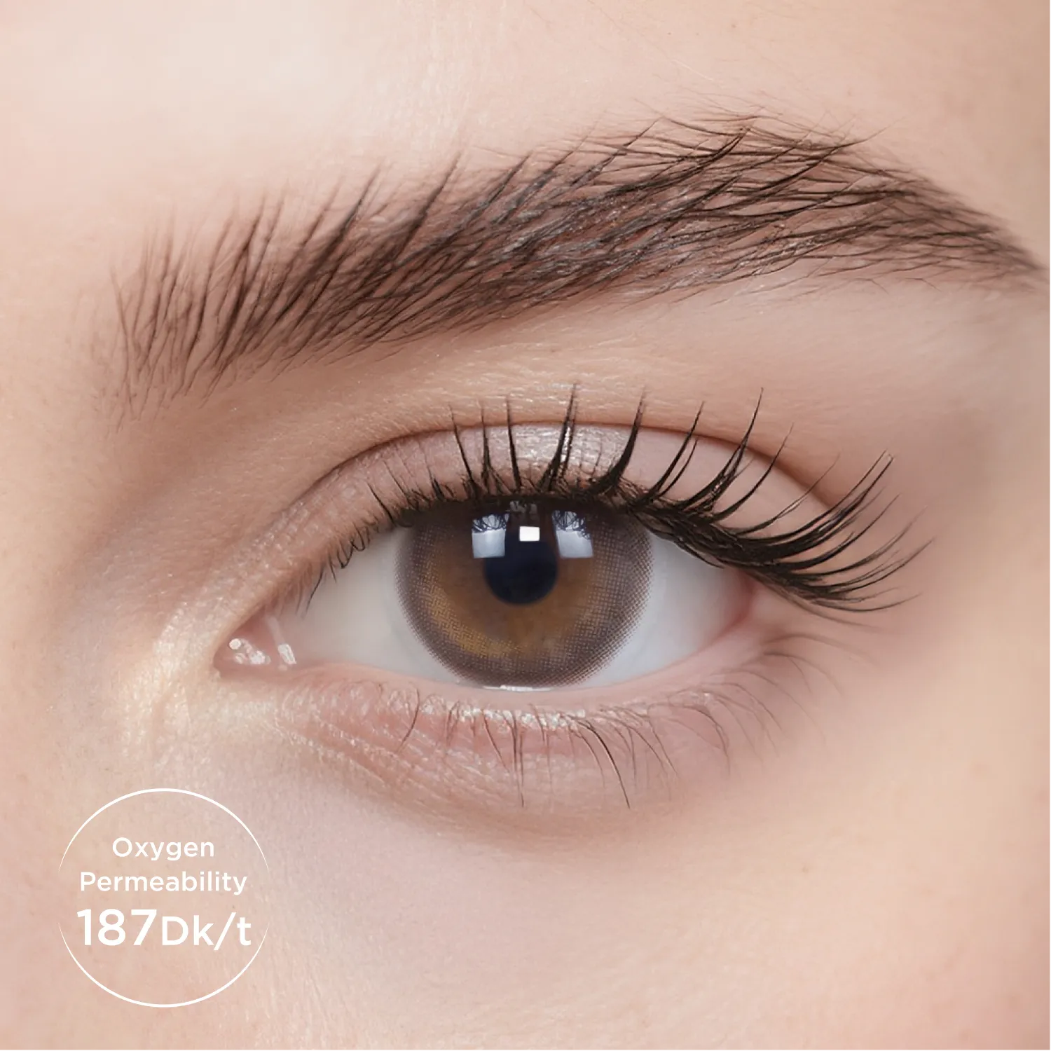 Breathe+ Oolong Brown Monthly Color Contacts