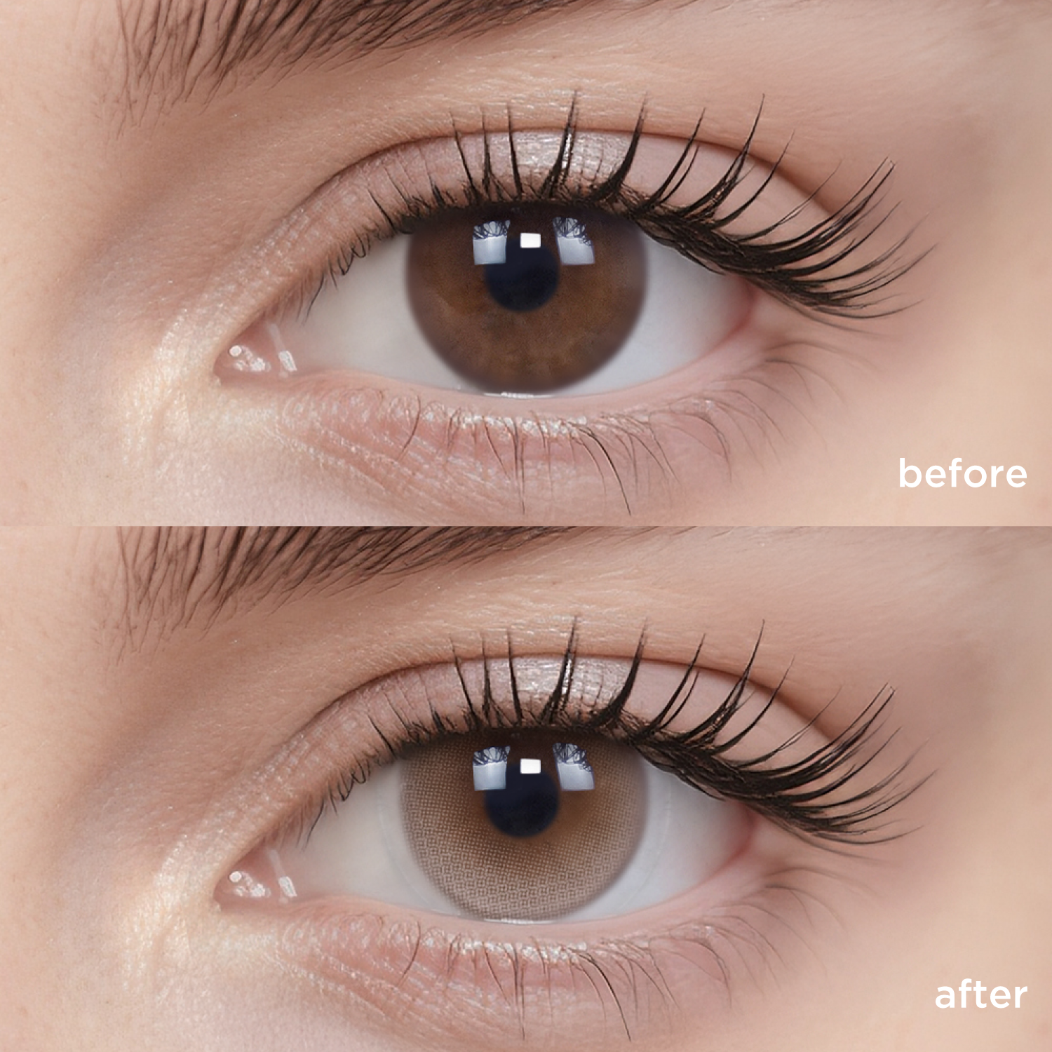 Daydream Brown brown color contacts