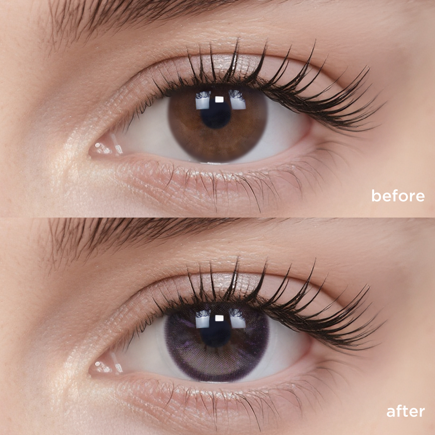 Dreamlight purple color contacts