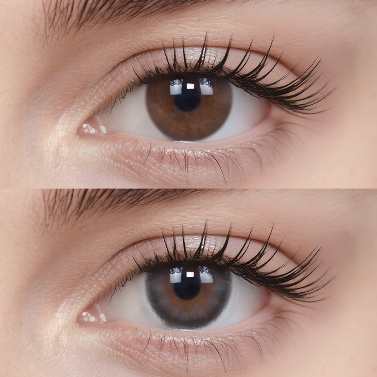 Breathe+ Barley Tea silicone hydrogel color contacts