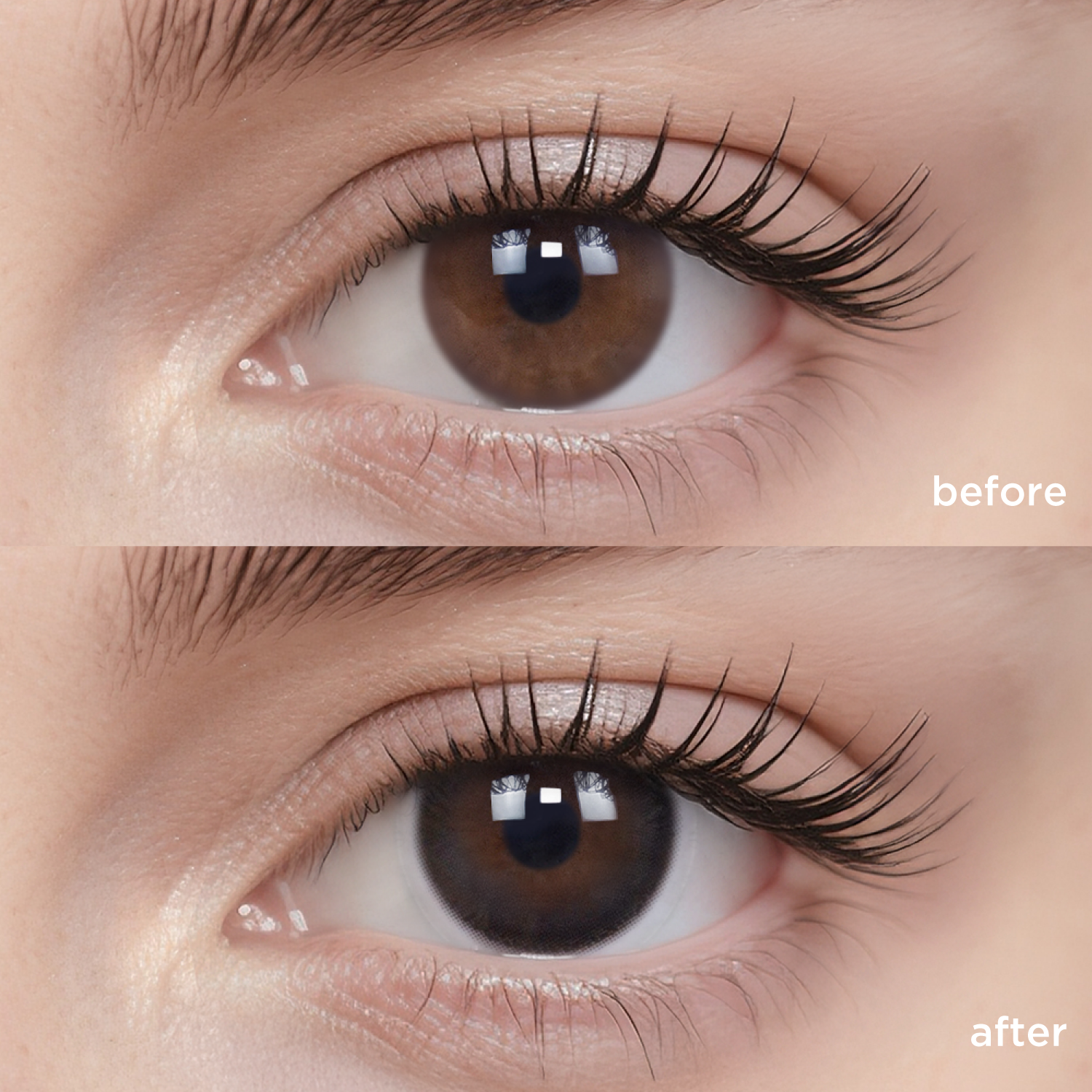 Black Peach Iced Tea black color contacts