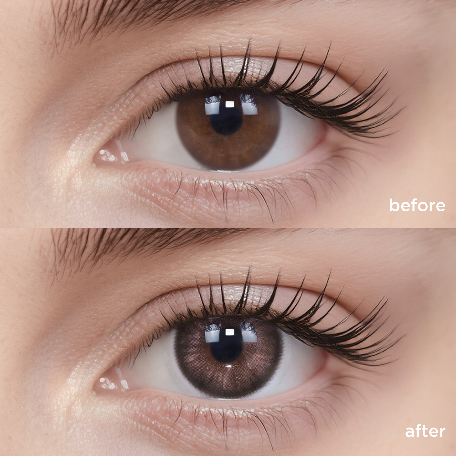 Blossoming black color contacts