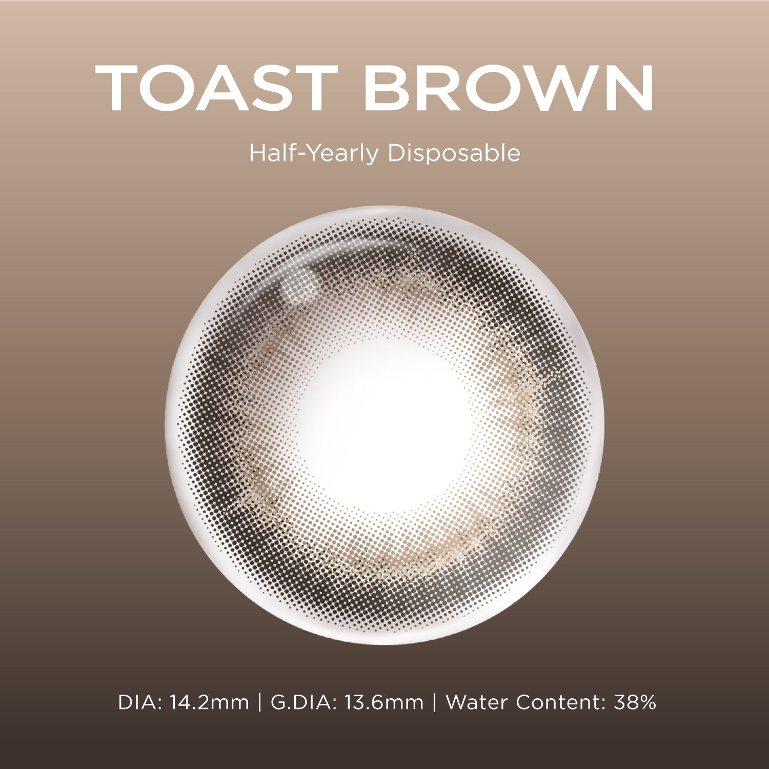 Toast Brown brown color contacts