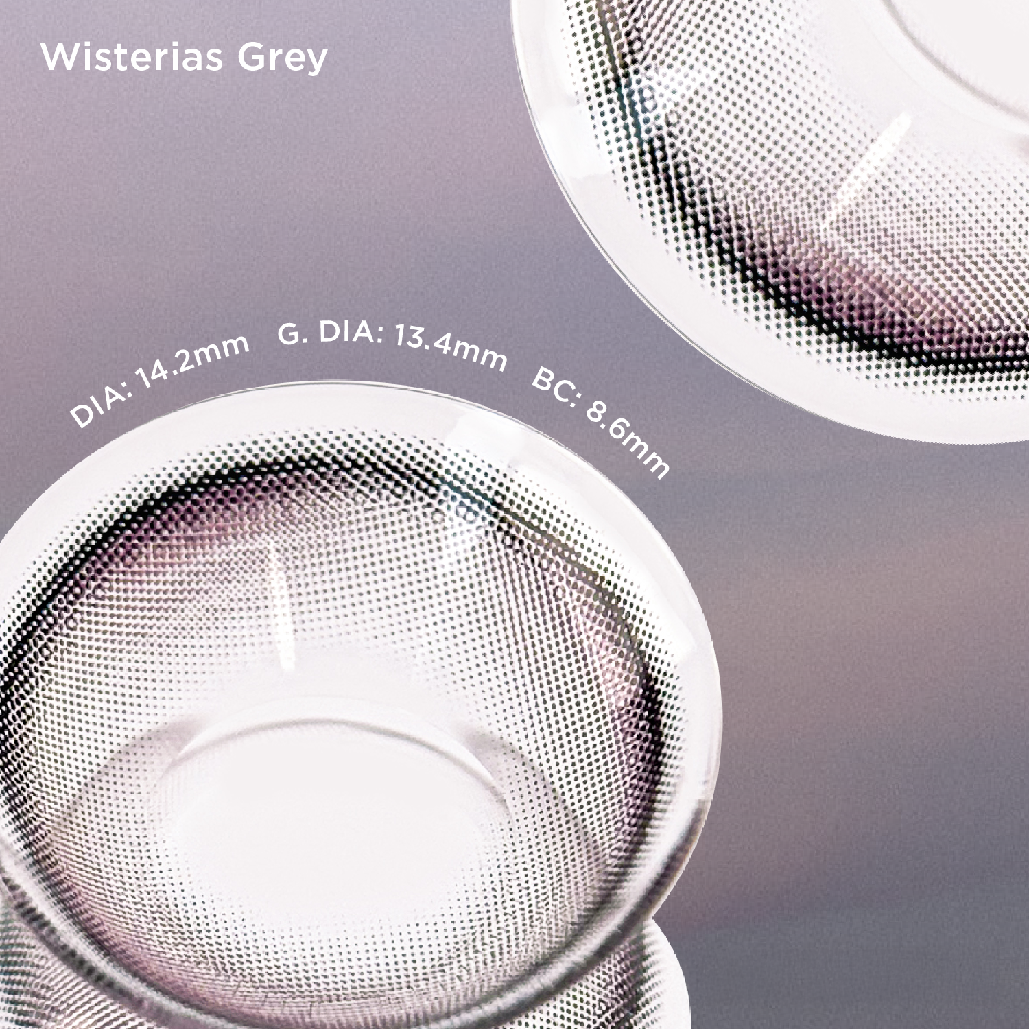 Wisterias Gray grey color contacts