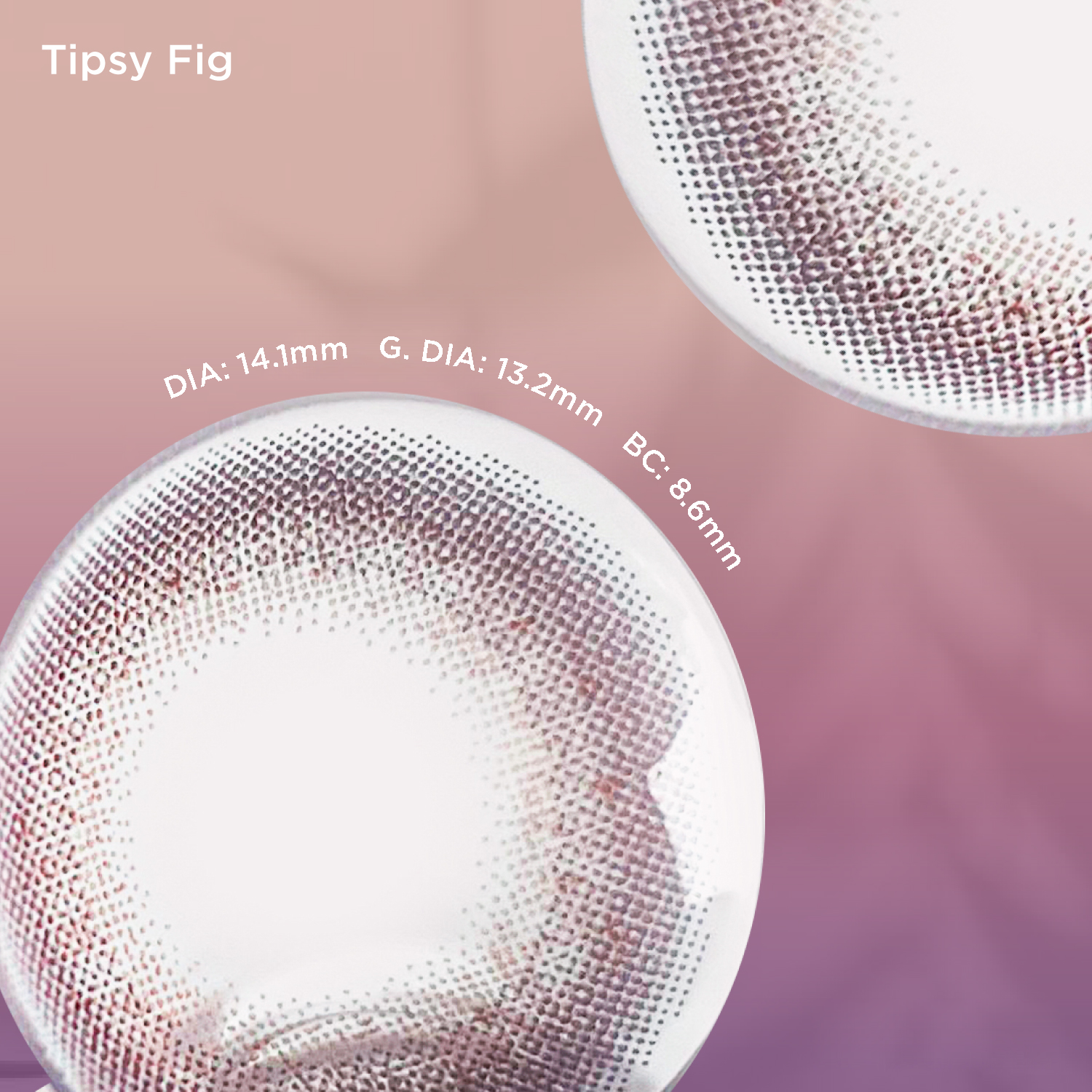 Tipsy Fig purple color contacts