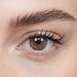 Cold Brew Oolong 6-Month Color Contacts