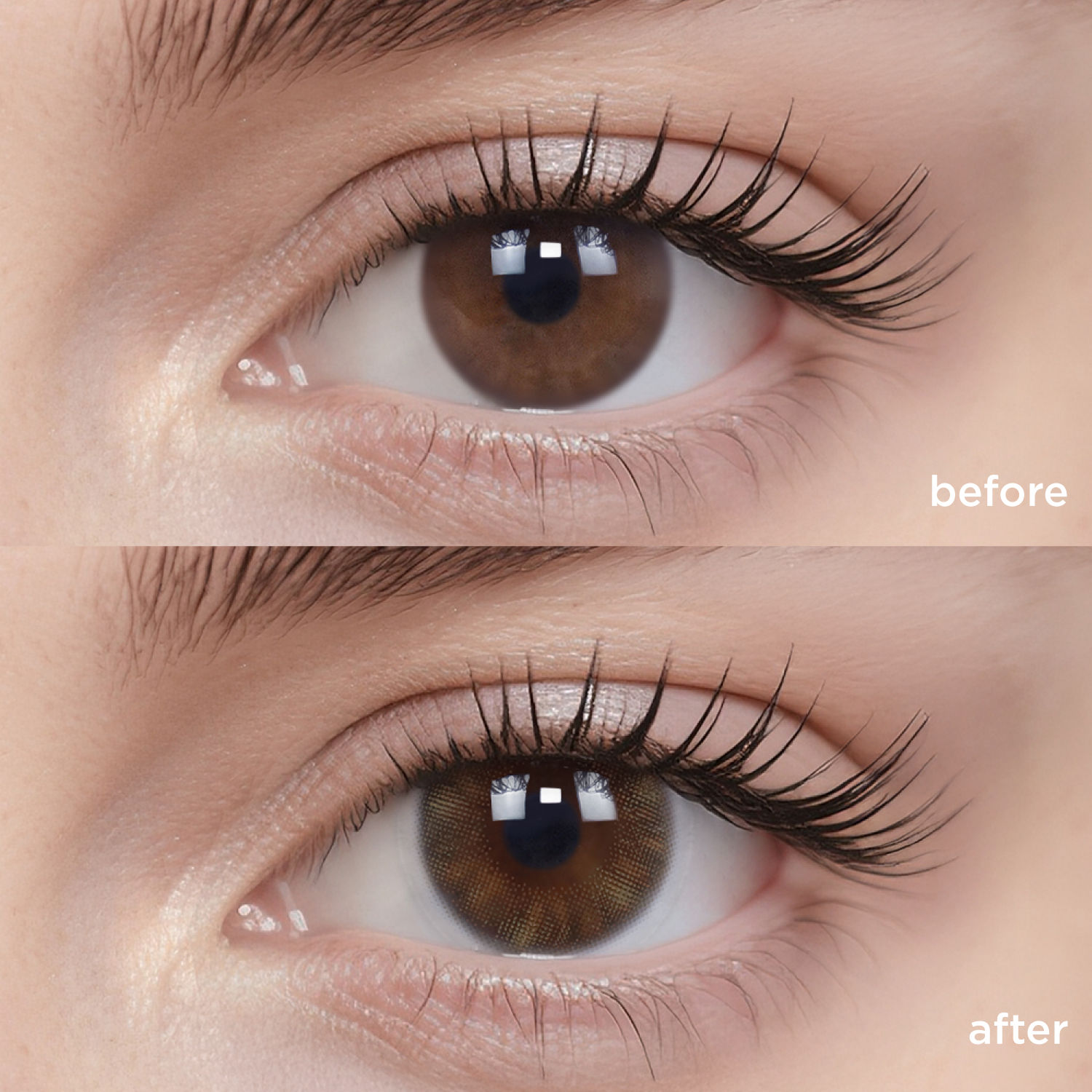 Wild Shadow brown color contacts