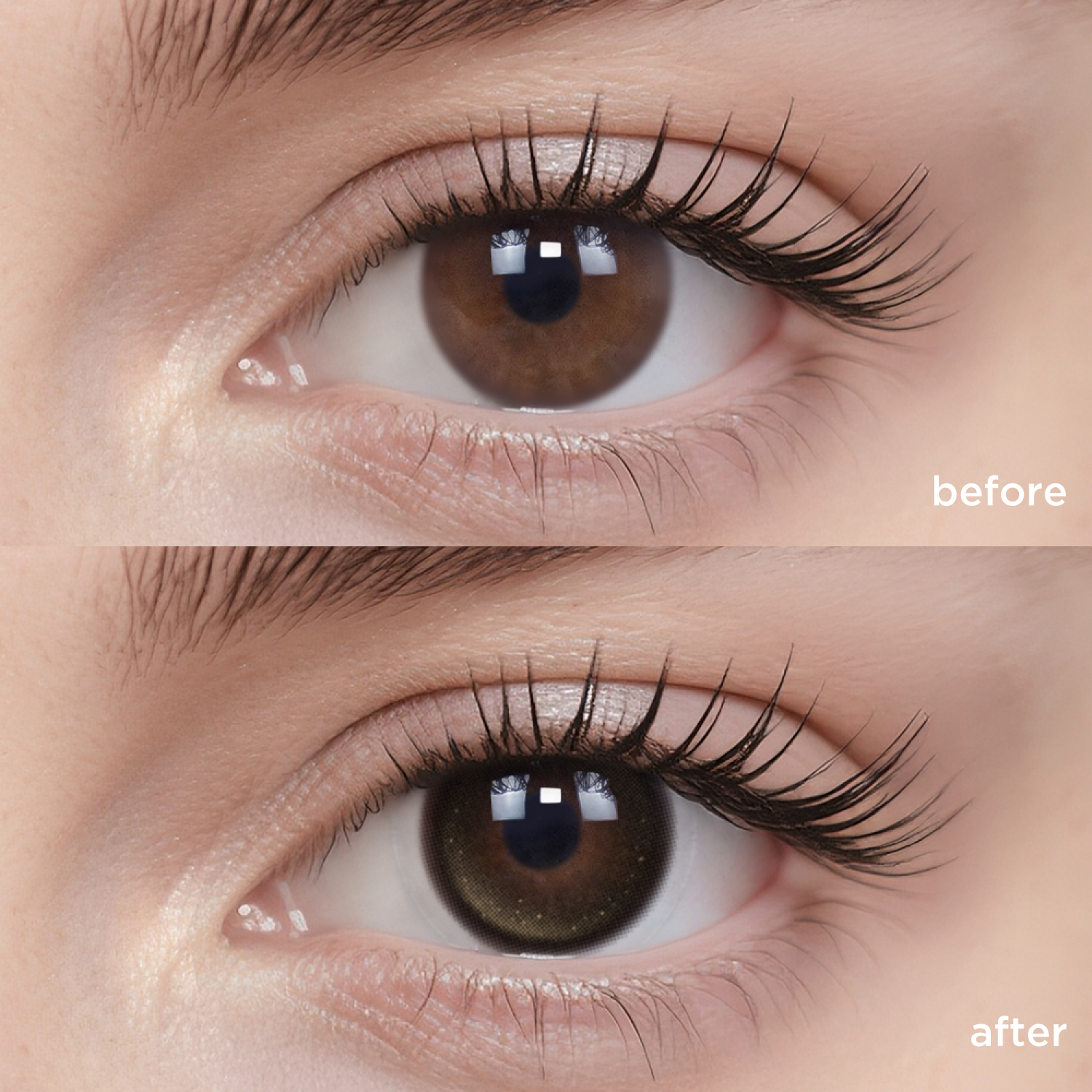 Citrus Fizz grey color contacts