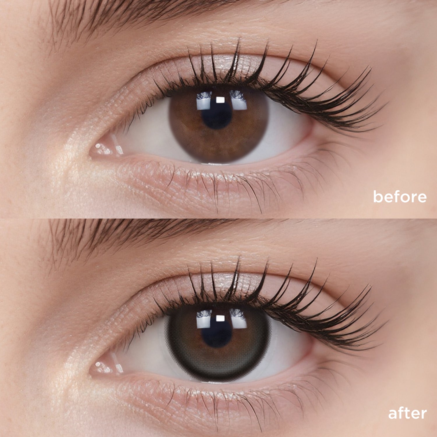 Pearl Black black color contacts