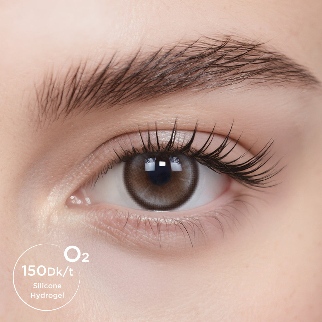 Breathe+ Denim Brown Daily Color Contacts