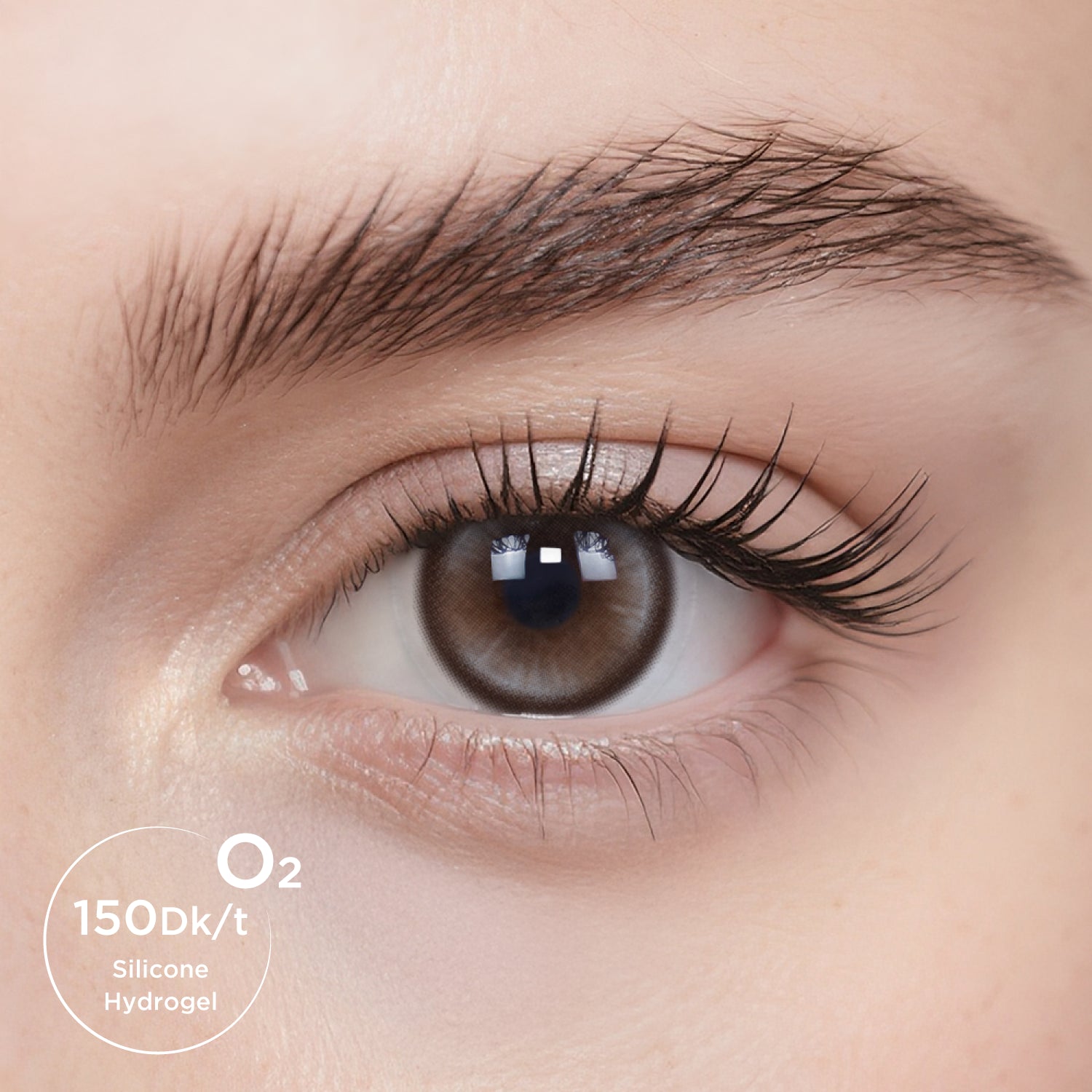Breathe+ Denim Brown Daily Color Contacts