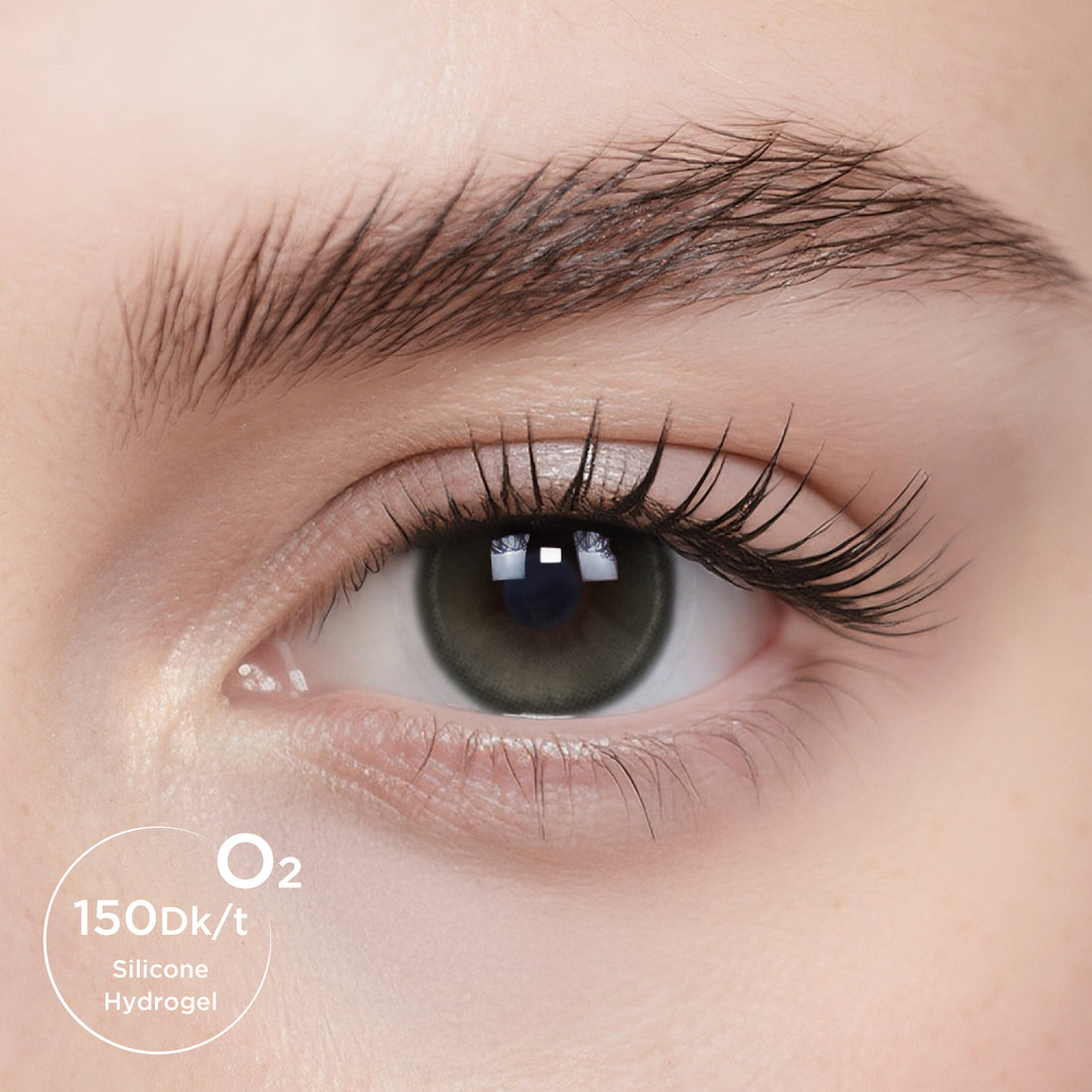 Breathe+ Nomad Sage Daily Color Contacts