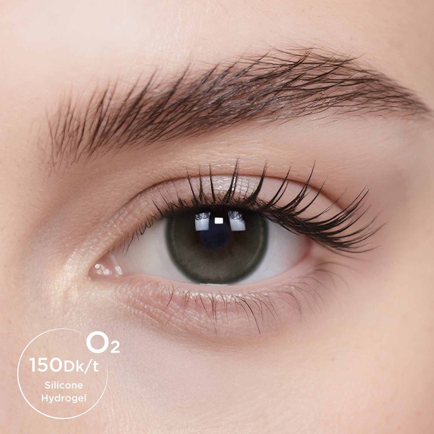 Breathe+ Nomad Sage Daily Color Contacts