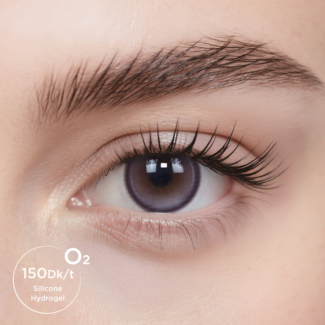 Breathe+ Western Purple Daily Color Contacts
