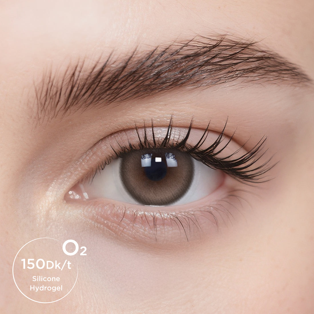 Breathe+ Walnut Brown Daily Color Contacts