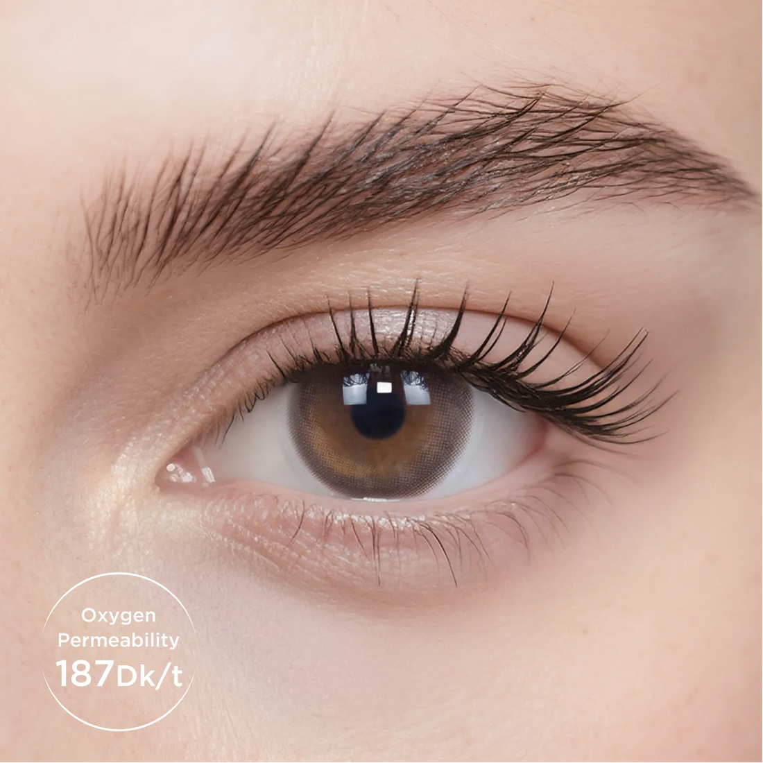 Breathe+ Oolong Brown Monthly Color Contacts