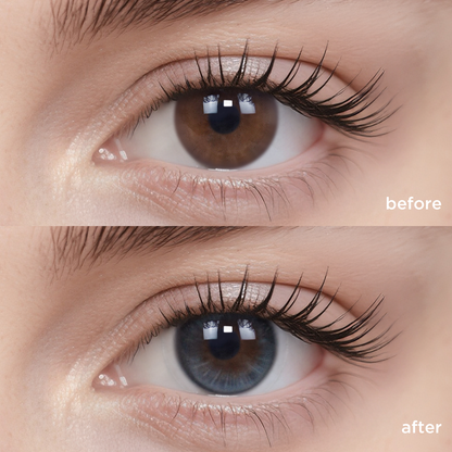 Blue Frost Oolong black color contacts