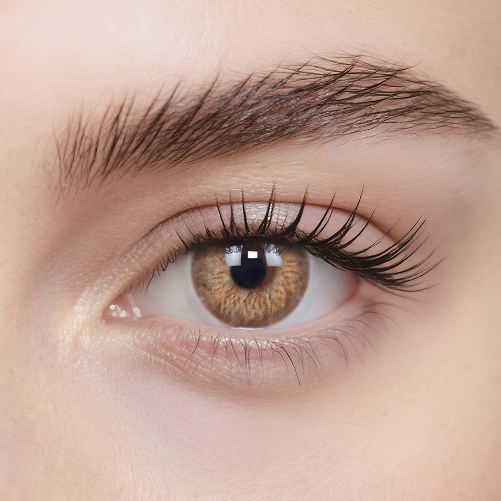 Sunflower Brown 6-Month Color Contacts