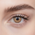 Sunflower Brown 6-Month Color Contacts