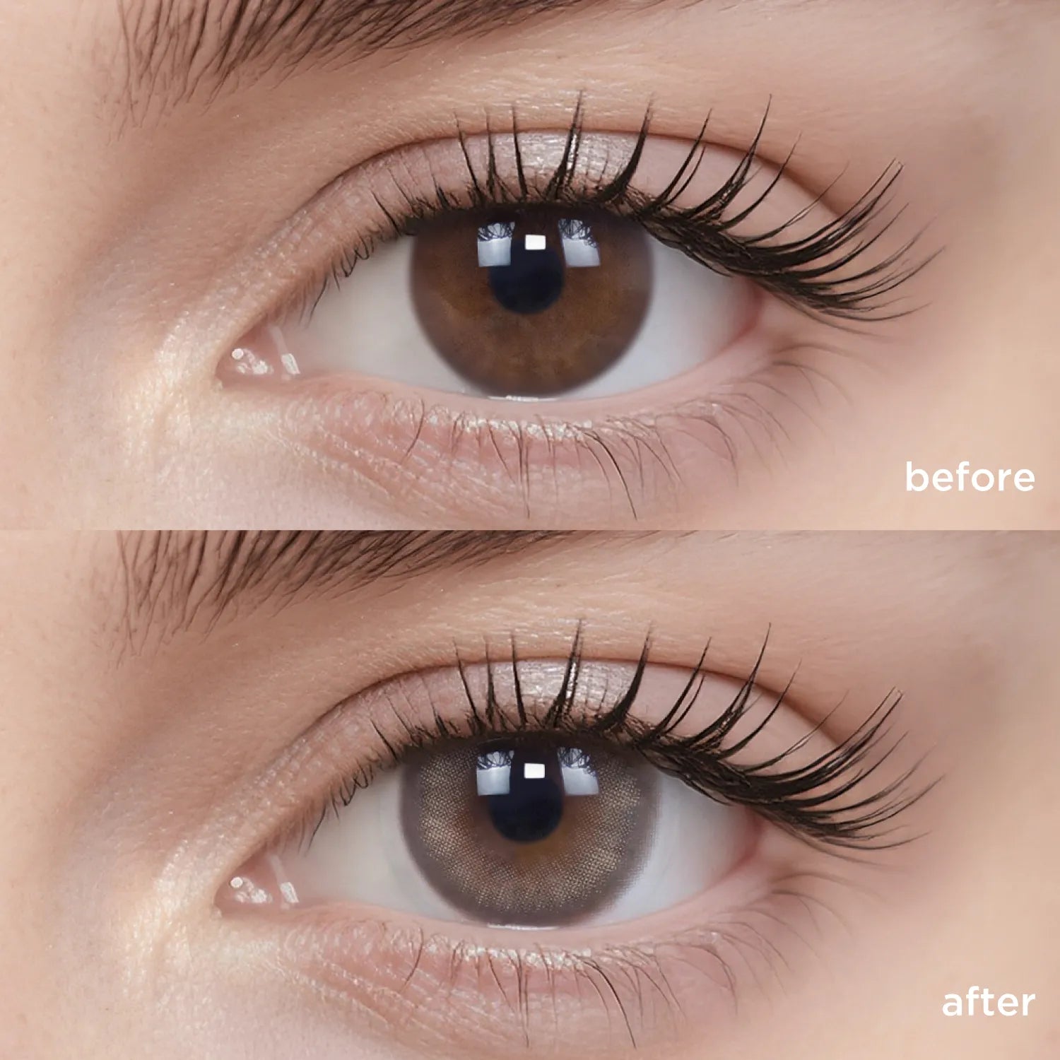 Breathe+ Oud Wood silicone hydrogel color contacts