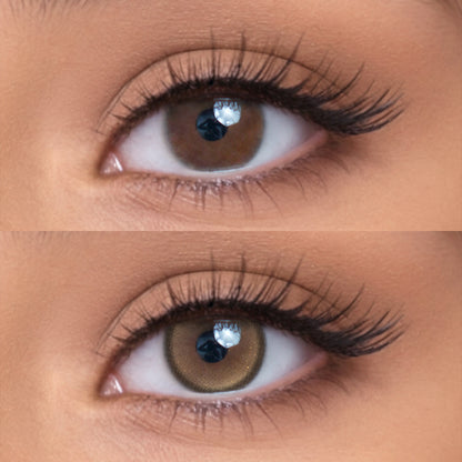 Almond Brown brown color contacts