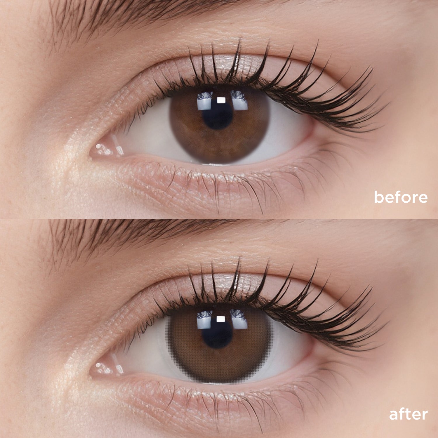 Apricot Glow brown color contacts