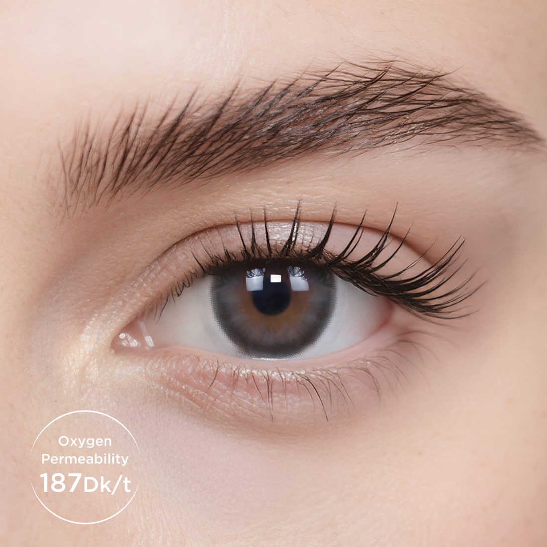 Breathe+ Barley Tea Monthly Color Contacts