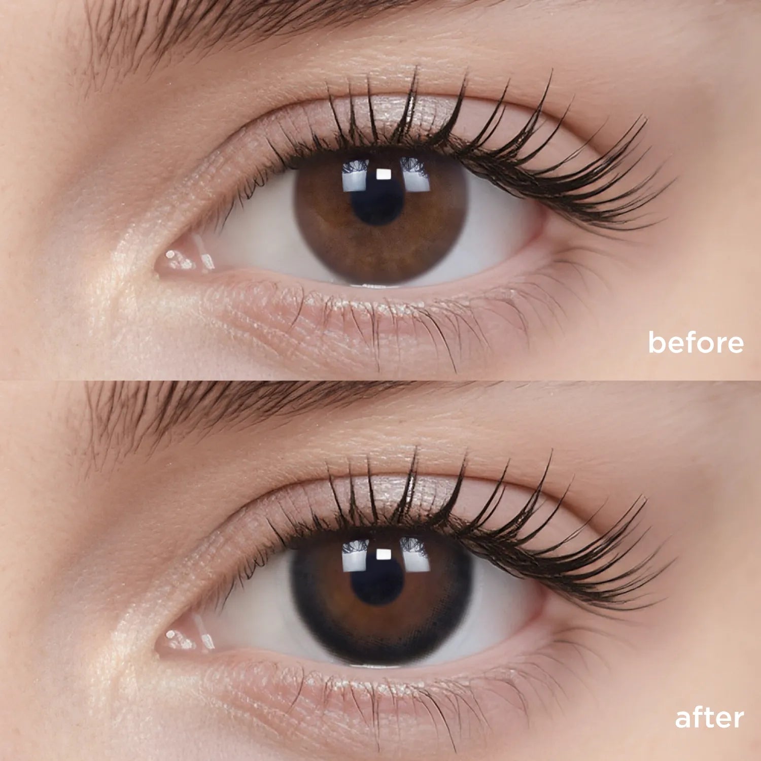 Black Sugar Pearl black color contacts