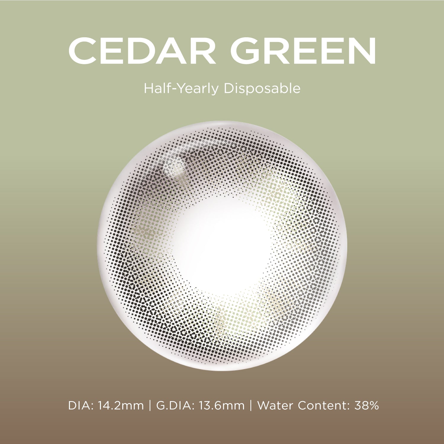 Cedar Green green color contacts