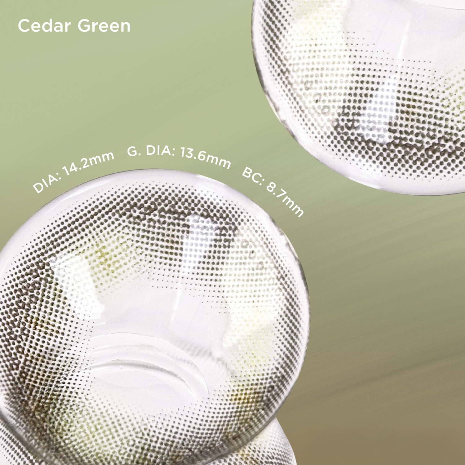 Cedar Green green color contacts