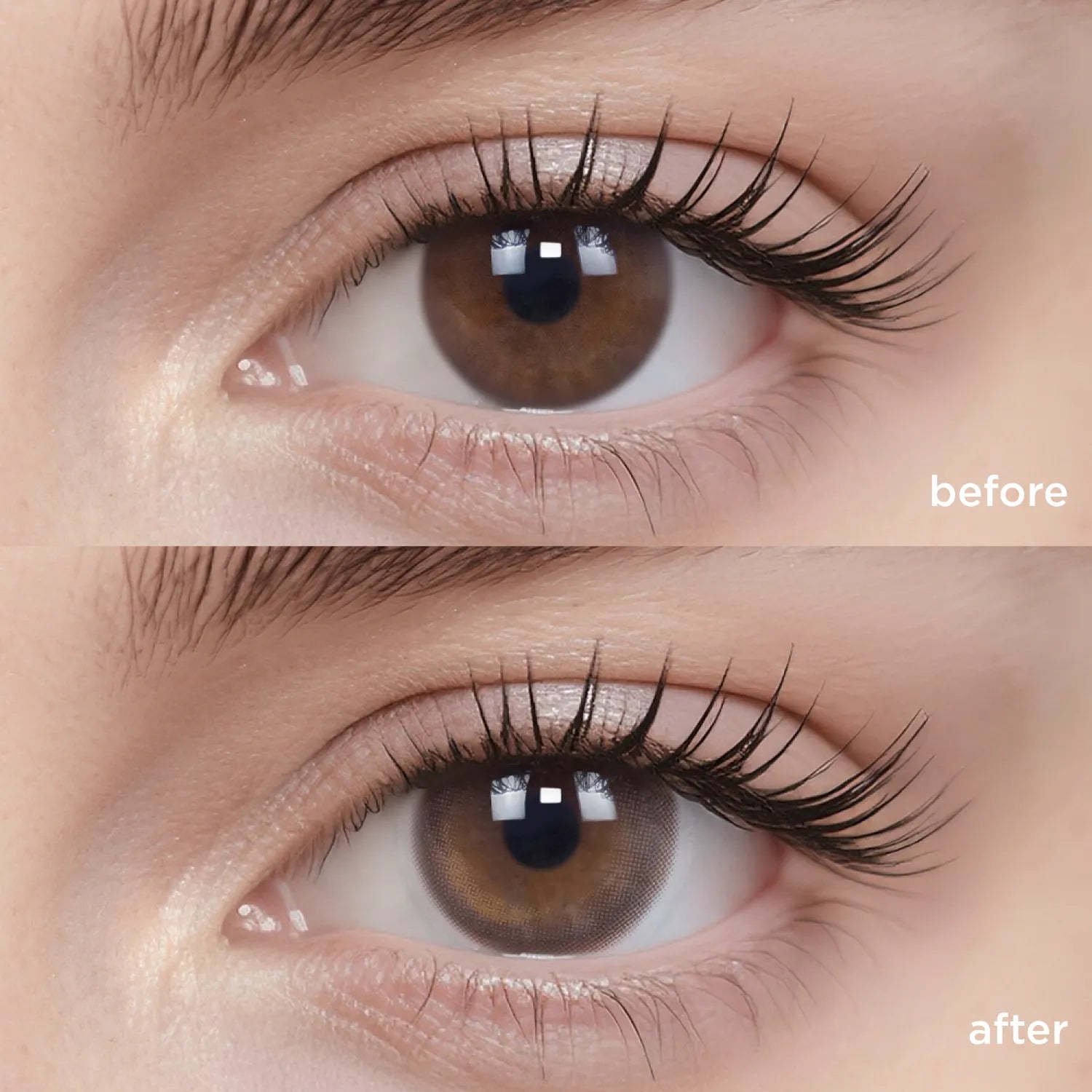 Cold Brew Oolong brown color contacts
