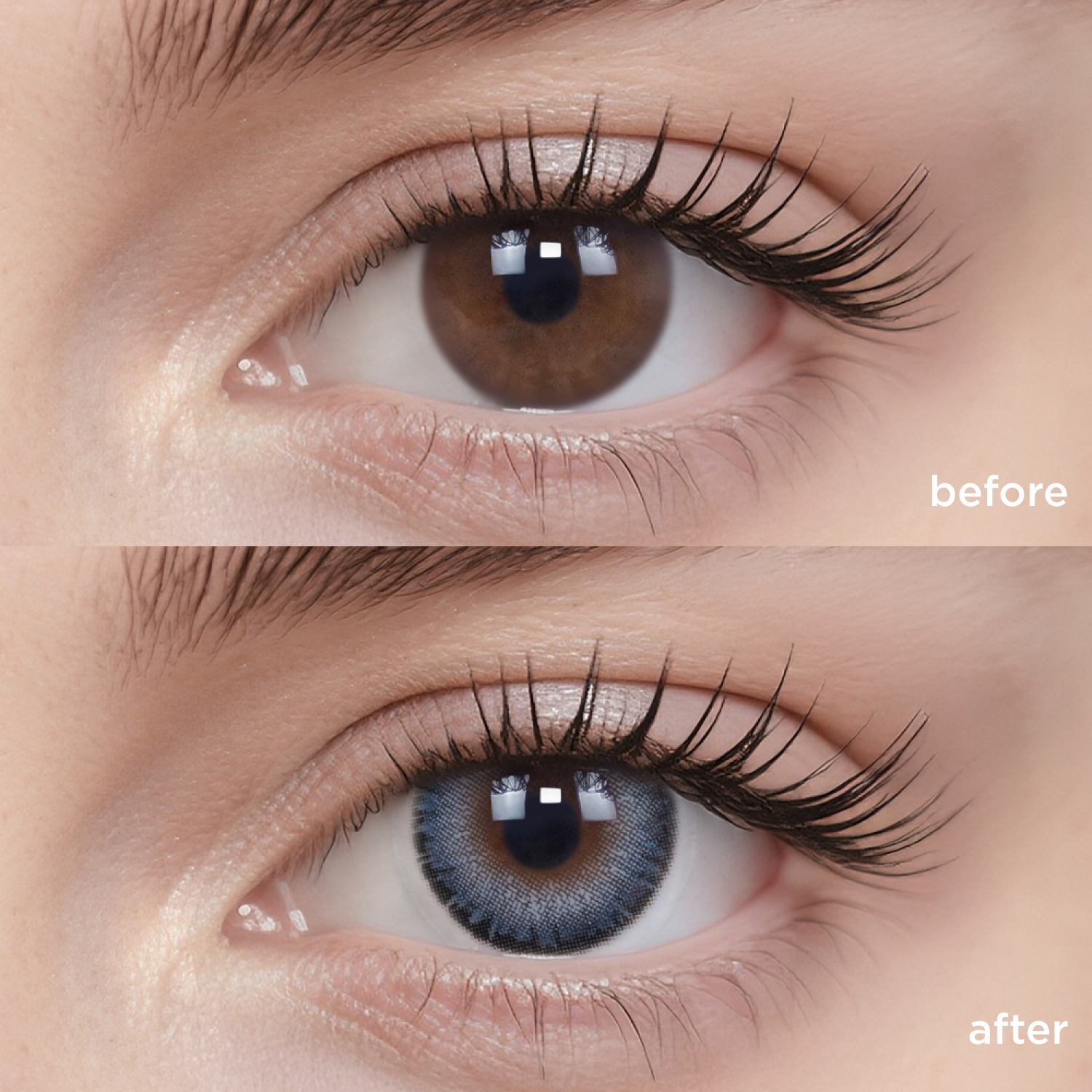 Denim Blue blue color contacts