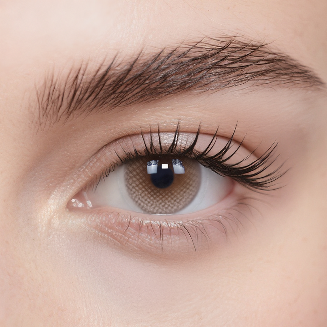 Daydream Brown Monthly Color Contacts