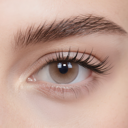 Daydream Brown Monthly Color Contacts