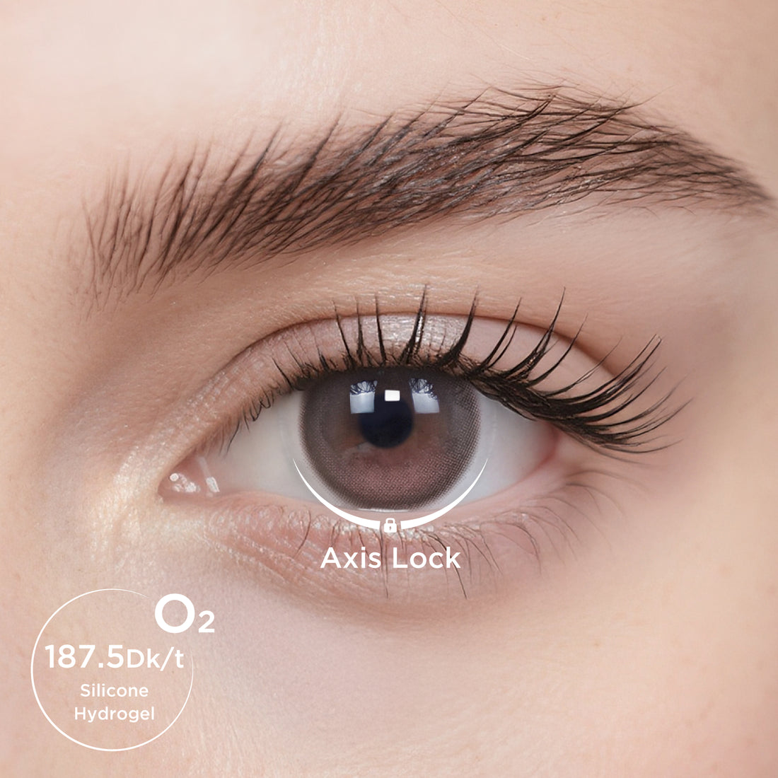 GlowyLock™ Dewy Peony Monthly Color Contacts