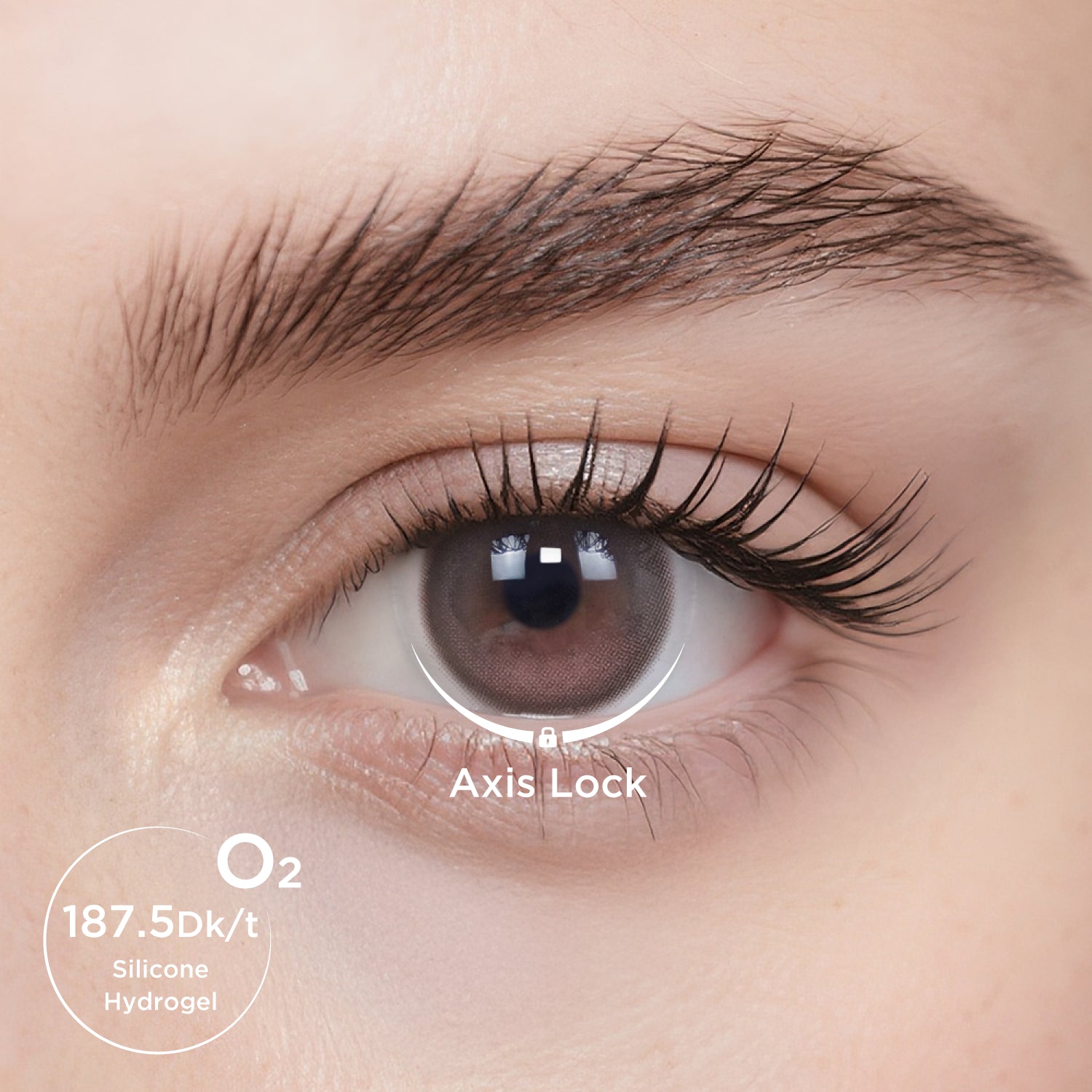 GlowyLock™ Dewy Peony Monthly Color Contacts