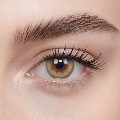 Dune Brown 6-Month Color Contacts