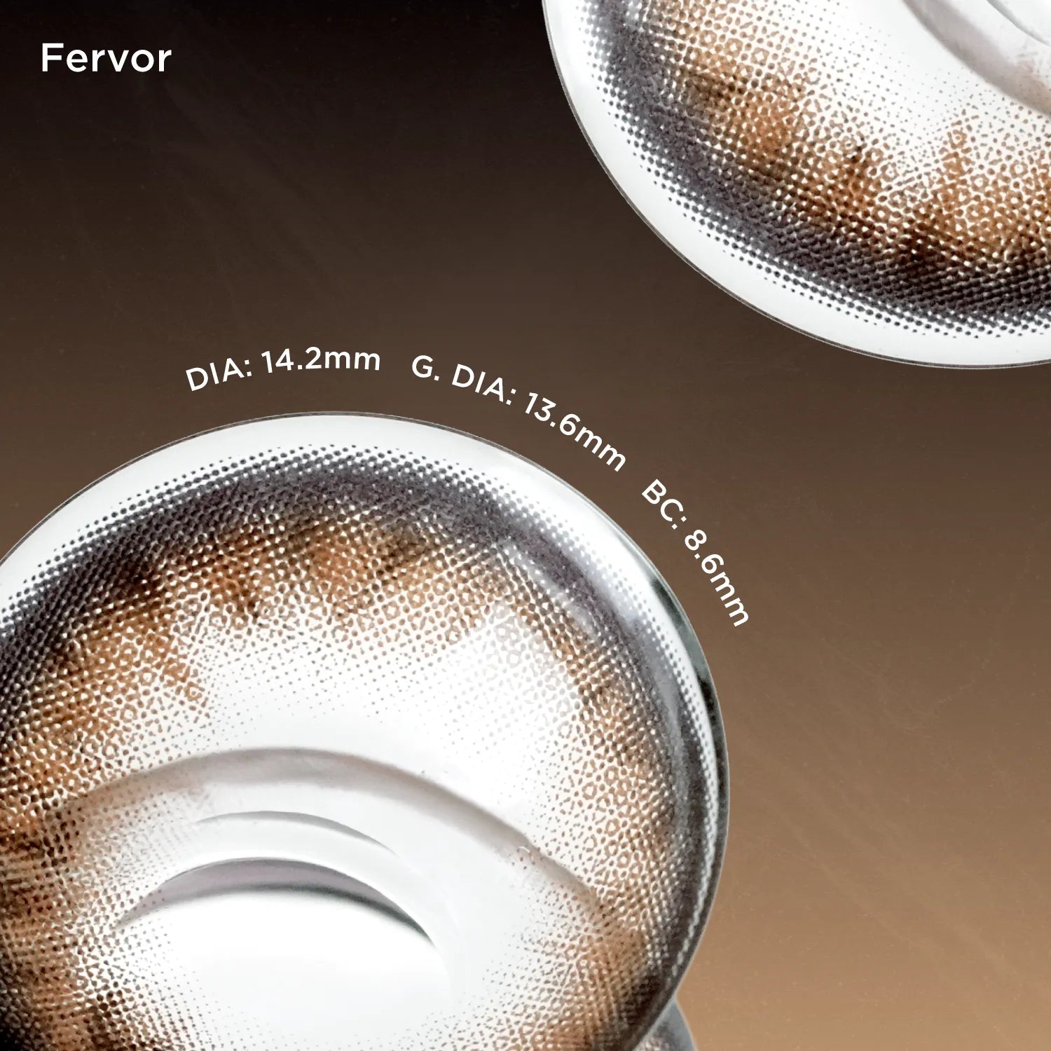 Fervor brown color contacts