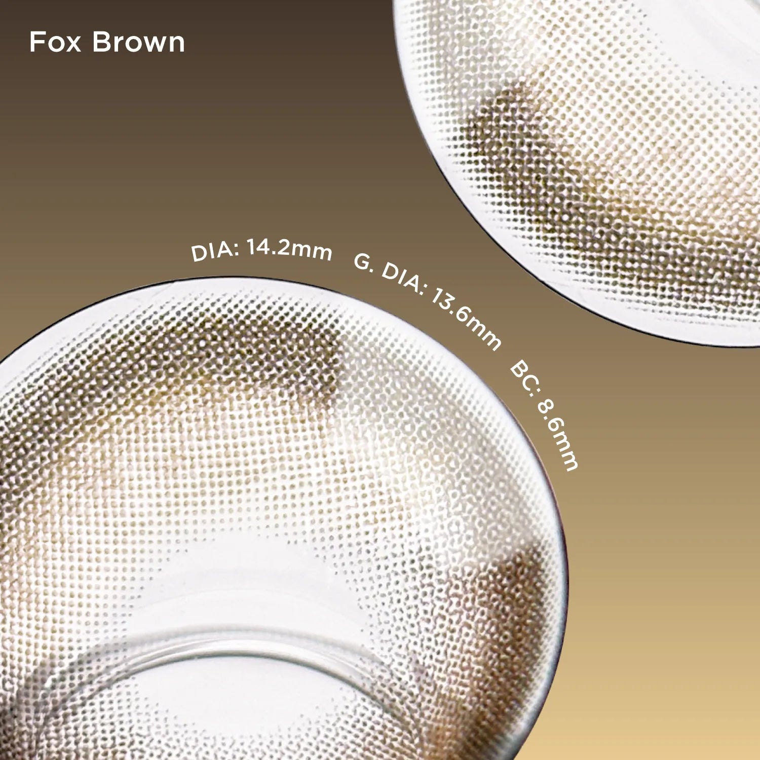 Fox Brown brown color contacts