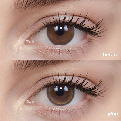 Fresh Brown brown color contacts