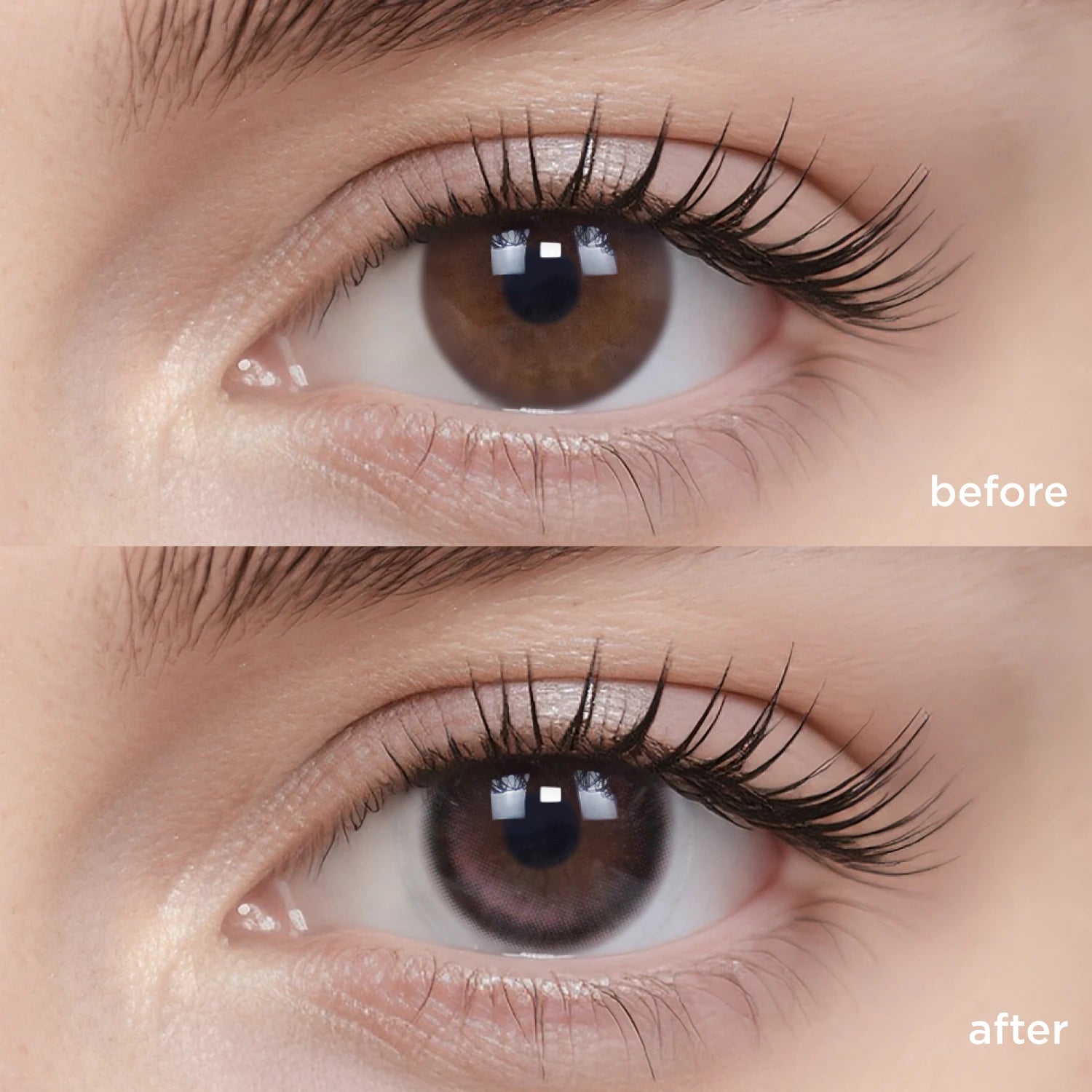 Midnight Ballet black color contacts