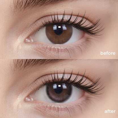 Midnight Ballet black color contacts