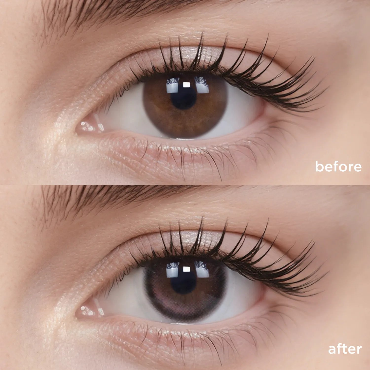 Midnight Ballet pink color contacts