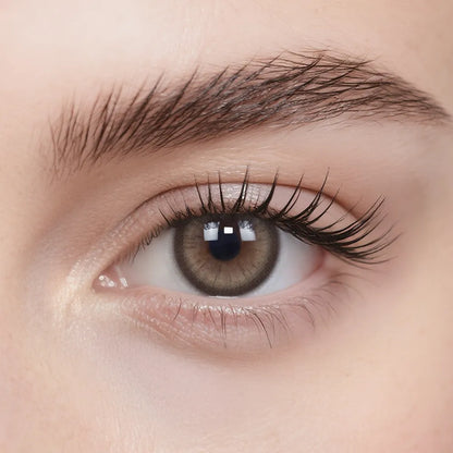 Midnight In Paris 6-Month Color Contacts