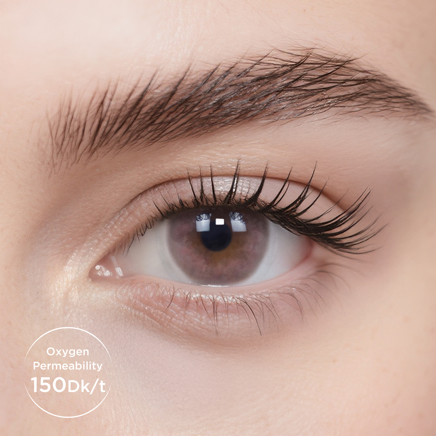 Breathe+Misty Rose Trial Color Contacts