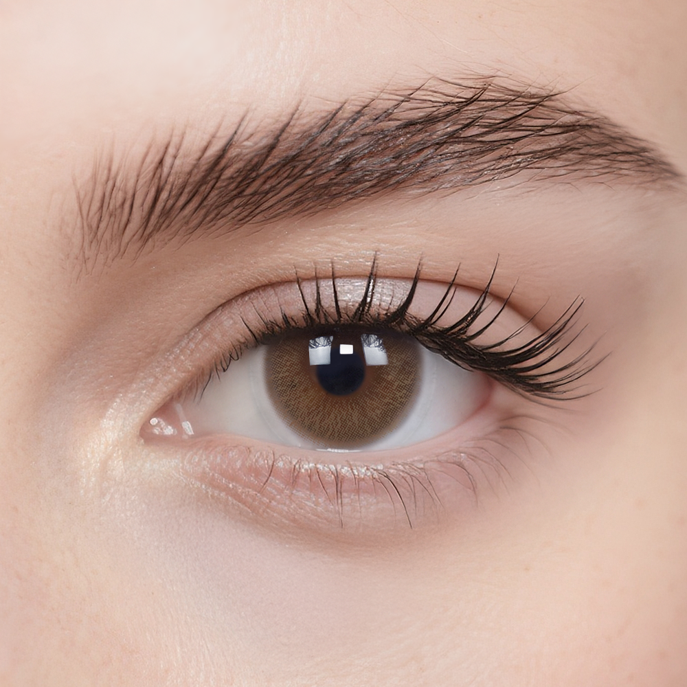 Monet Brown 6-Month Color Contacts
